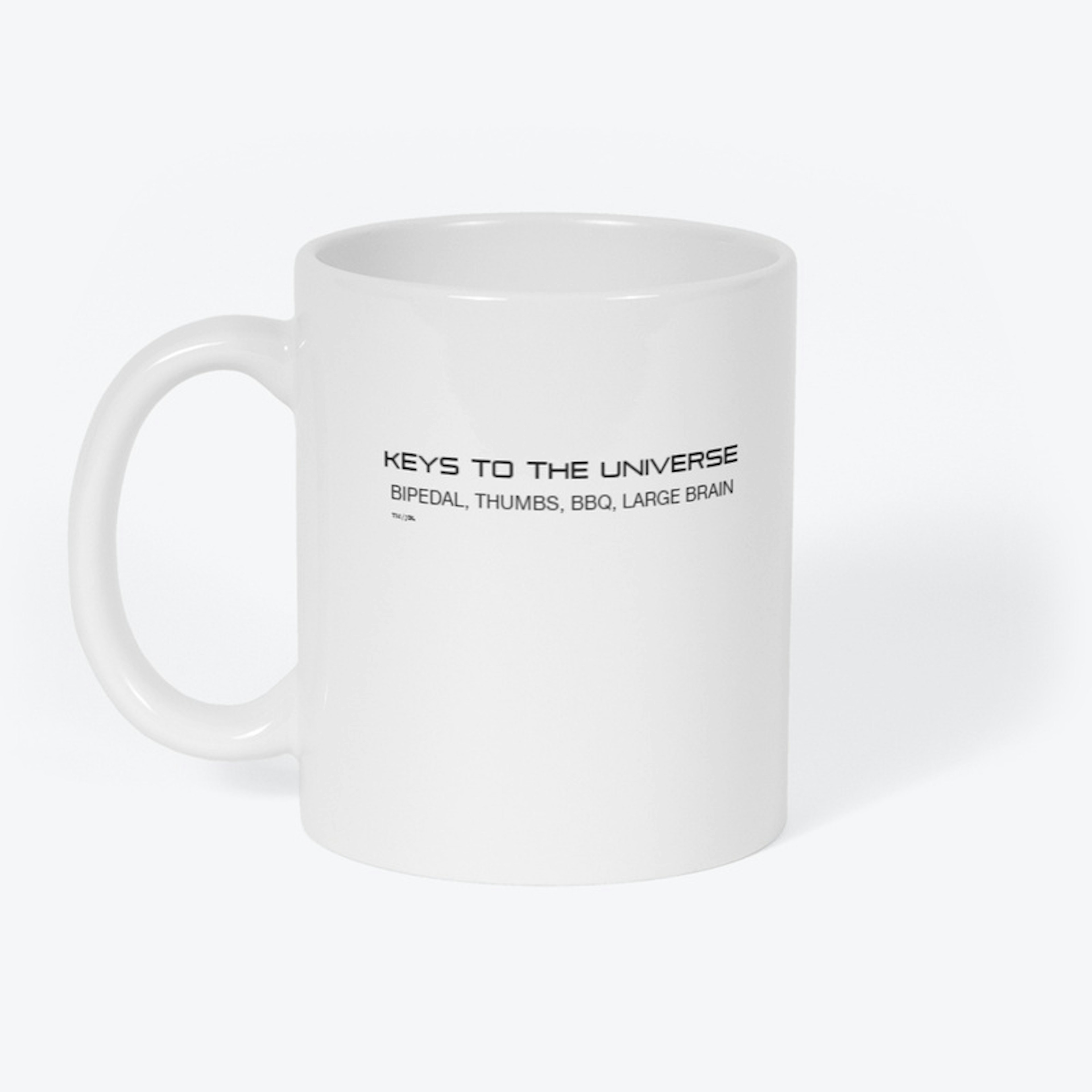 Keys To the Universe mug